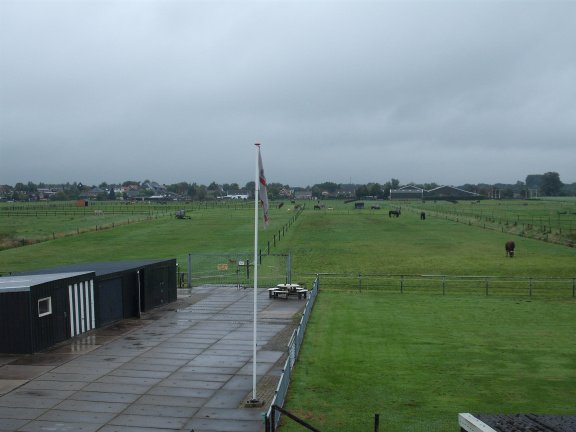 Ecologisch grasland/ weidegang voor blessurepaarden- rustperiode - Afbeelding 5
