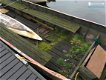 Tuindersvlet Grachtenboot - 3 - Thumbnail