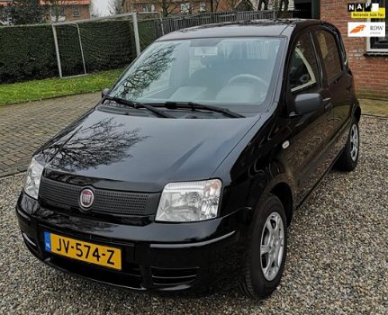 Fiat Panda - 1.1 Young - 1