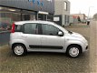 Fiat Panda - 0.9 TwinAir Edizione Cool - 1 - Thumbnail