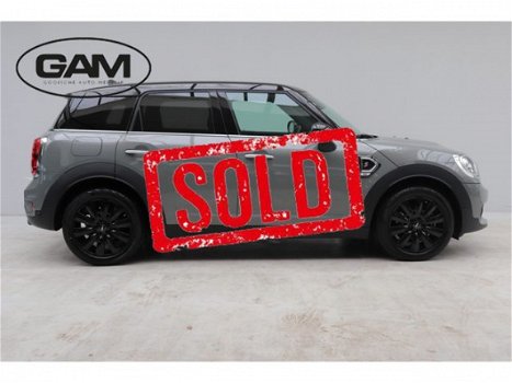 Mini Mini Countryman - 2.0 Cooper S - 1