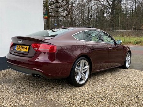 Audi S5 - Sportback QUATTRO Pro Line EXCLUSIVE *1e Eigenaar* Dealer auto - 1