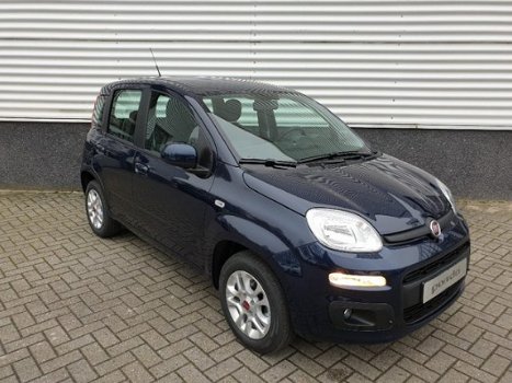 Fiat Panda - 1.2 Lounge*NIEUW 5jr GARANTIE - 1