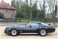 Chevrolet Corvette - USA 1 YZ 87 /V8/Automaat/Dikke Auto/APK 12-21 - 1 - Thumbnail