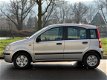 Fiat Panda - 1.2 Dynamic 2004 airco nieuwe apk 91dkm - 1 - Thumbnail