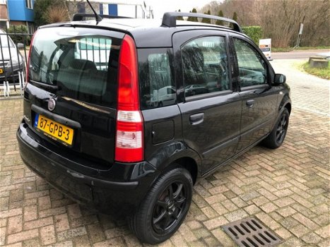 Fiat Panda - 1.2 Edizione Cool - 1