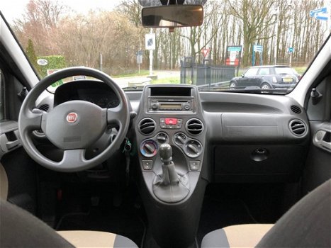 Fiat Panda - 1.2 Edizione Cool - 1