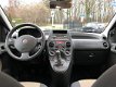 Fiat Panda - 1.2 Edizione Cool - 1 - Thumbnail