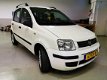 Fiat Panda - 1.2 Emotion /AIRCO/CLIMA/NIEUWE A.P.K/ - 1 - Thumbnail