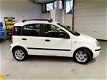 Fiat Panda - 1.2 Emotion /AIRCO/CLIMA/NIEUWE A.P.K/ - 1 - Thumbnail