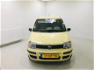 Fiat Panda - 1.1 Active , Nieuwe A.P.K , 2e Eigenaar - 1 - Thumbnail