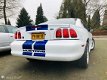 Ford Mustang - USA 3.8 Coupé Shelby look GT 350 zeer apart - 1 - Thumbnail