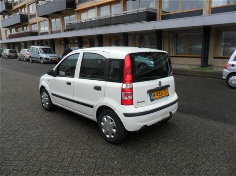 Fiat Panda - 1.1 Active - 1