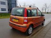 Fiat Panda - 1.2 Edizione Cool - 1 - Thumbnail