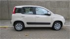 Fiat Panda - 1.2 Edizione Cool/ Trekhaak - 1 - Thumbnail