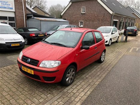 Fiat Punto - 1.2 Young - 1