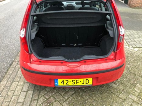 Fiat Punto - 1.2 Young - 1