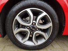 Kia Picanto - 1.0 CVVT First Edition 15" LMV Navi+BT+Cam Cr. Control