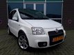 Fiat Panda - 1.4 100HP Sport. Wit. Panorama - 1 - Thumbnail