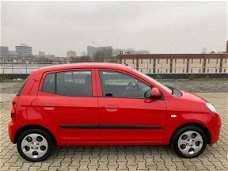 Kia Picanto - 1.0 X-tra