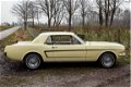 Ford Mustang - USA Coupe Hardtop V8 289ci , automatic C4 GT Scheinwerfer, GT Instrumente, Servolenku - 1 - Thumbnail
