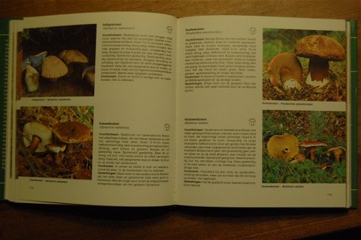 Modern handboek Paddestoelen - 2