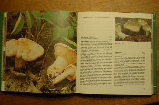 Modern handboek Paddestoelen - 3