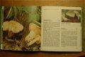 Modern handboek Paddestoelen - 3 - Thumbnail