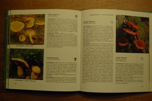 Modern handboek Paddestoelen - 6