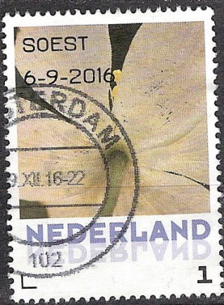 nederland 219 - nr. 1