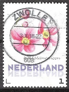 nederland 220 - 0
