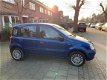 Fiat Panda - 1.3 JTD Dynamic BJ. 2004 APK 30-06-2020 DIESEL - 1 - Thumbnail