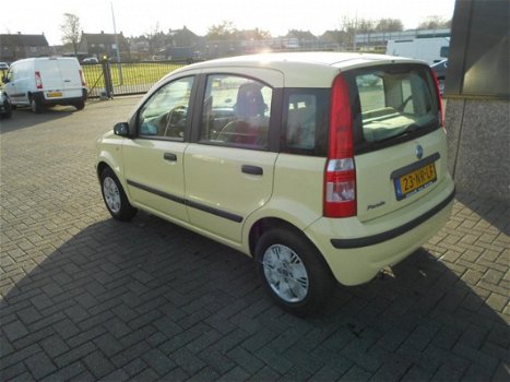 Fiat Panda - 1.2 Dynamic - 1