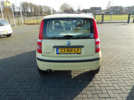 Fiat Panda - 1.2 Dynamic - 1