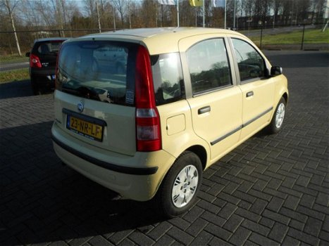 Fiat Panda - 1.2 Dynamic - 1