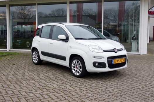 Fiat Panda - 1.2 Classic Plus - 1