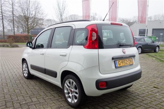 Fiat Panda - 1.2 Classic Plus - 1