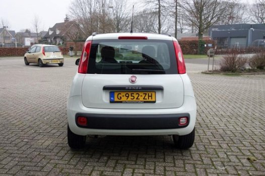 Fiat Panda - 1.2 Classic Plus - 1