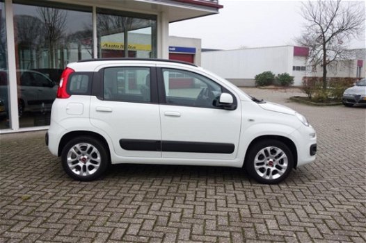 Fiat Panda - 1.2 Classic Plus - 1