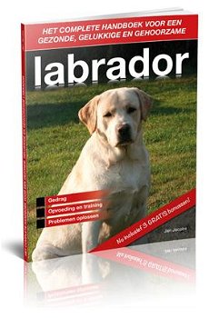 “Ontdek Hoe Jij Je Labrador Bijna Direct Verandert In Een Lieve En Gehoorzame Hond...