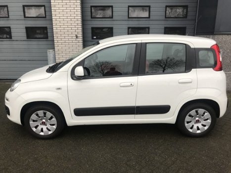 Fiat Panda - 1.2 Edizione Cool - 1