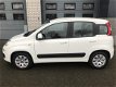 Fiat Panda - 1.2 Edizione Cool - 1 - Thumbnail