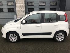 Fiat Panda - 1.2 Edizione Cool