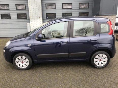 Fiat Panda - 1.2 Edizione Cool (4 cilinder) - 1