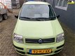 Fiat Panda - 1.2 Dynamic - 1 - Thumbnail