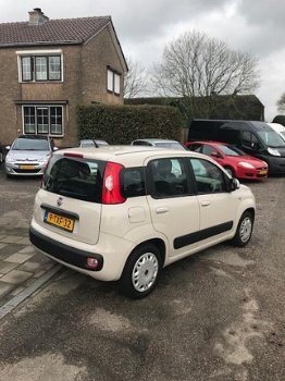 Fiat Panda - 0.9 TwinAir Edizione Cool / Profiteer van onze winteractie - 1