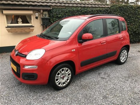 Fiat Panda - 1.2 Classic Plus - 1