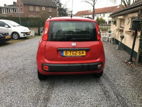 Fiat Panda - 1.2 Classic Plus - 1