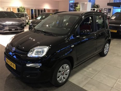 Fiat Panda - 0.9 TwinAir Ed. CoolHOGE ZIT - 1