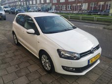 Volkswagen Polo - 1.2 TSI Highline Edition DSG AUTOMAAT / 1E EIGENAAR